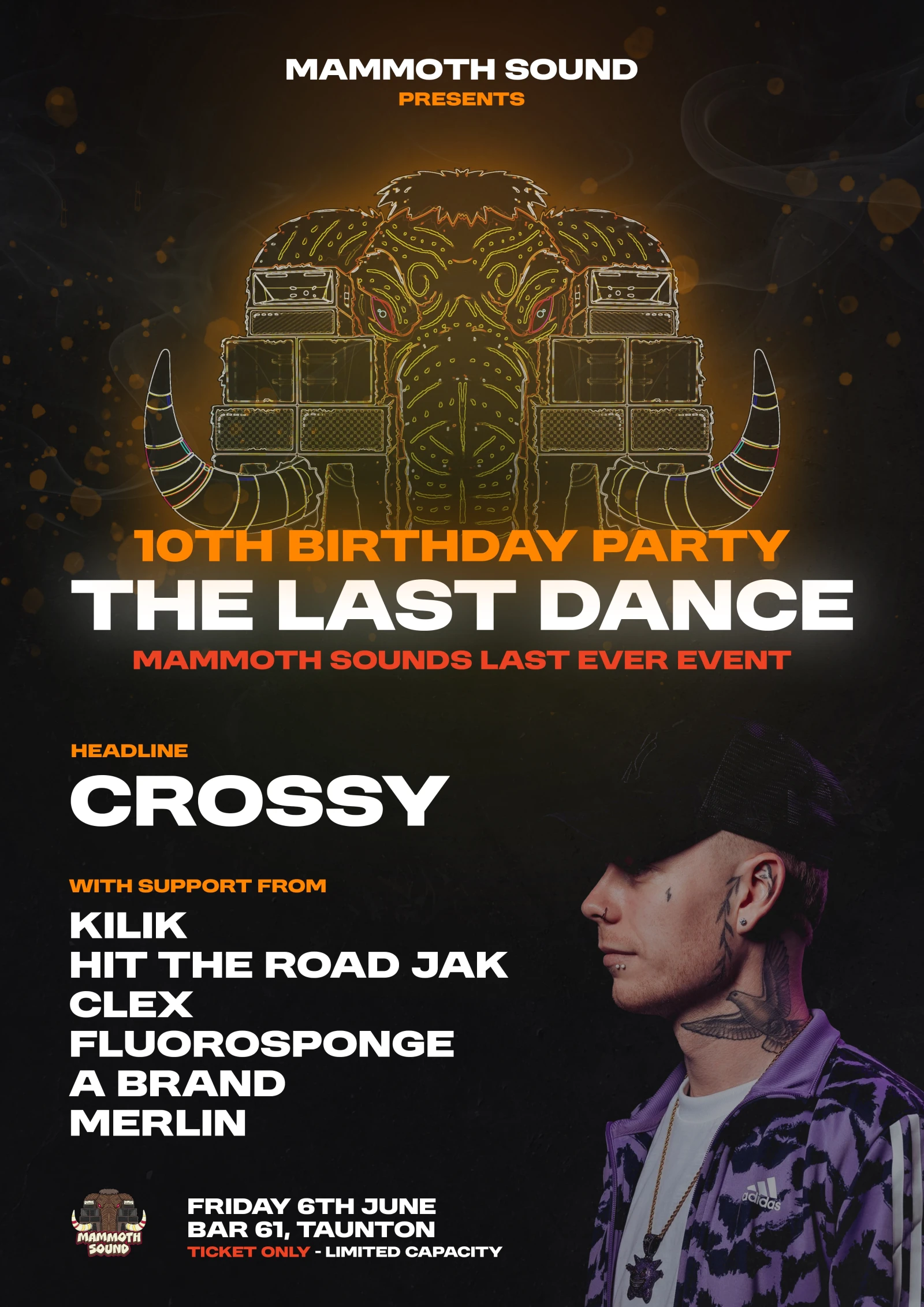 Mammoth 10th Birthday The Last Dance